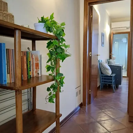 Guelfa 56 Apartamento *